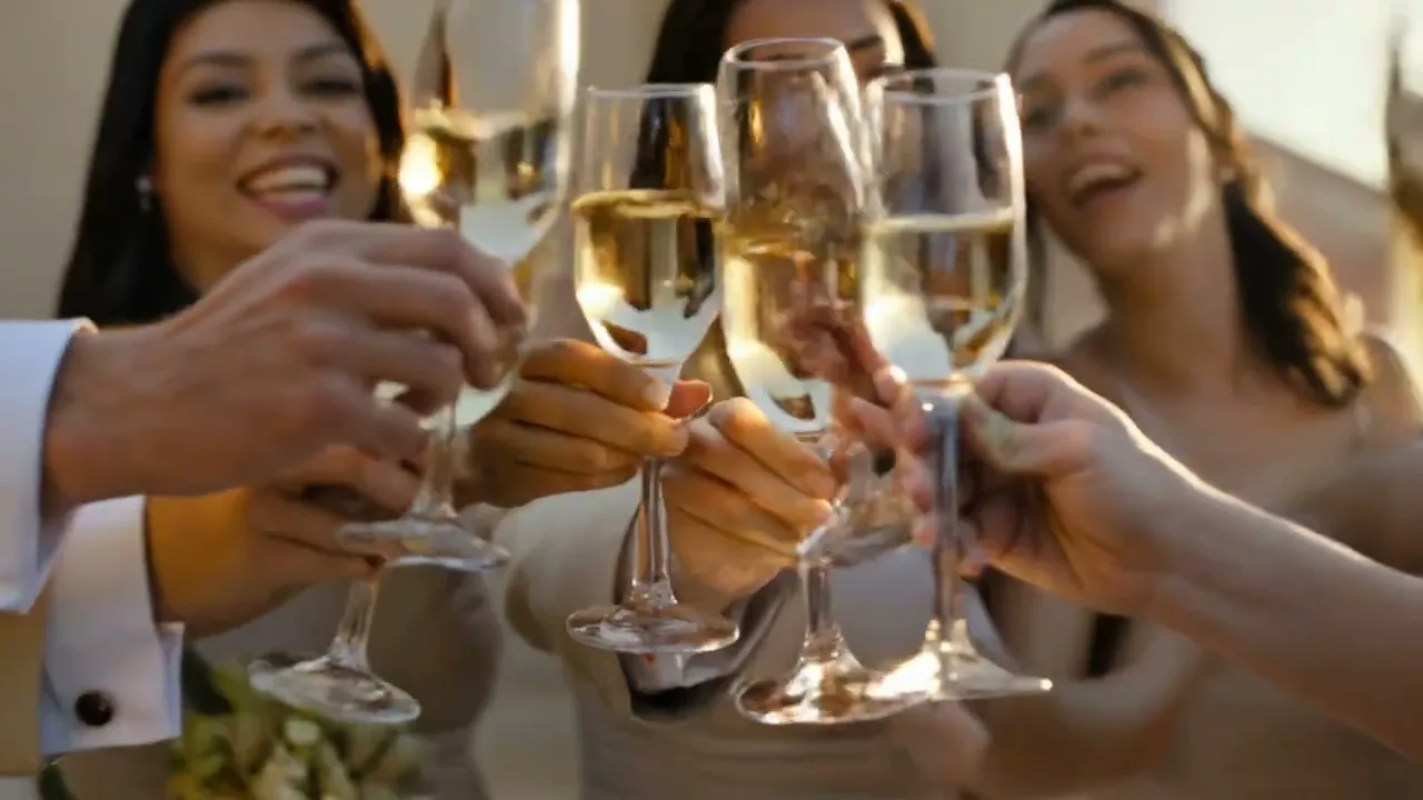 Wedding celebration captured by Leo Peres Videography